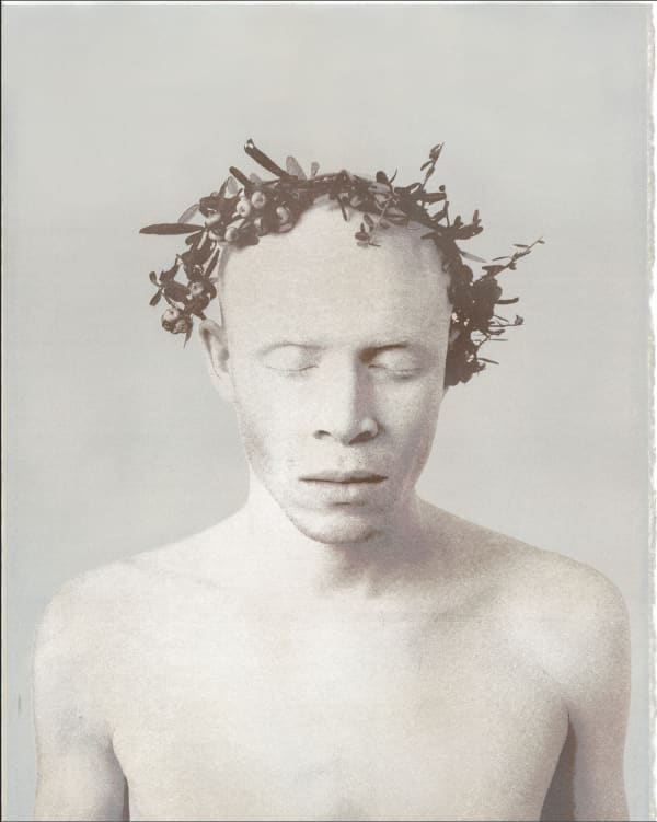 Postage Stamp Series #1