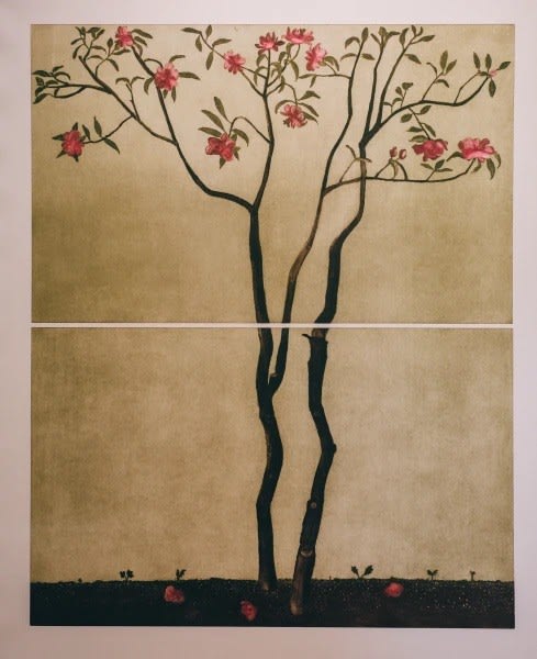 Cliona Doyle, Camelia Japonica, 2022