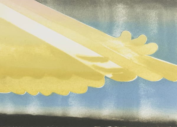 The Shadow Of Her Wing