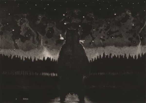 The Bear