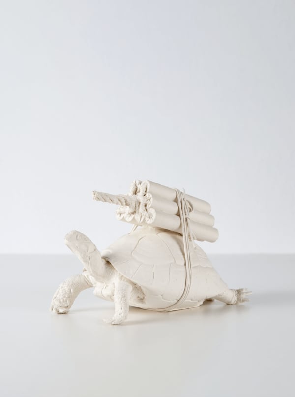 Adel Abdessemed, Tortue, 2014