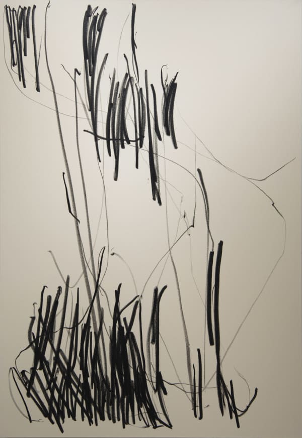 Joël Andrianomearisoa, LE TERRAIN DE JEU DE TOUS LES POSSIBLES , 2024