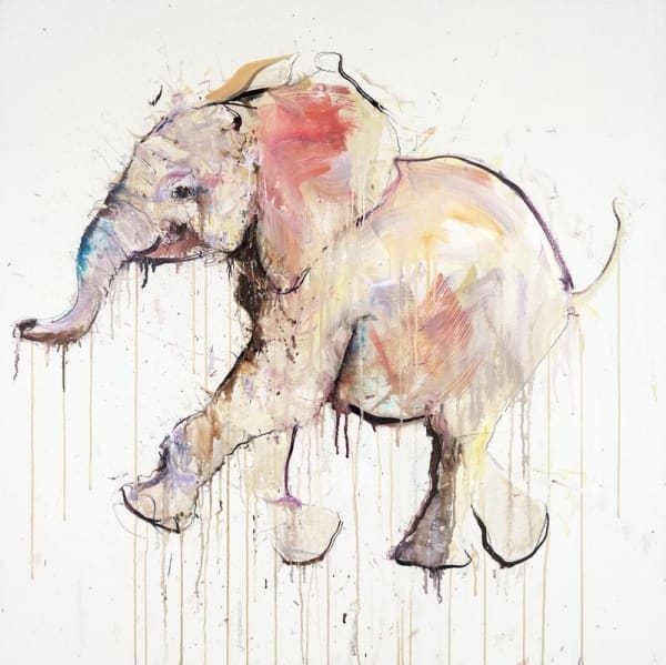 Dave White, Baby Elephant