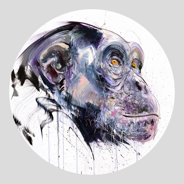 Dave White, Wise, 2022