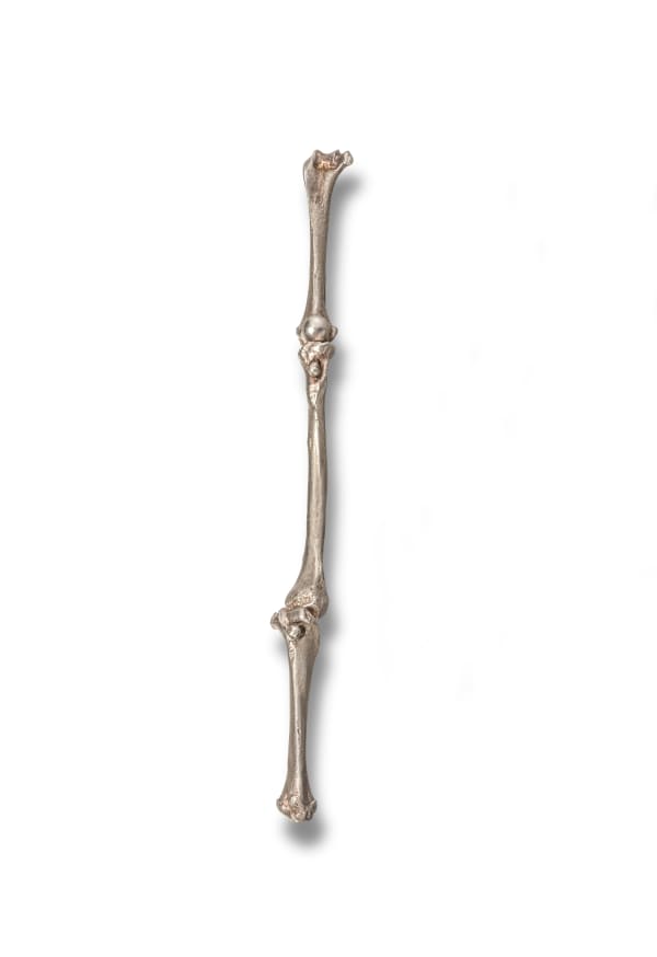 Tim Noble and Sue Webster, Bone Earring (3 Bone), 2012