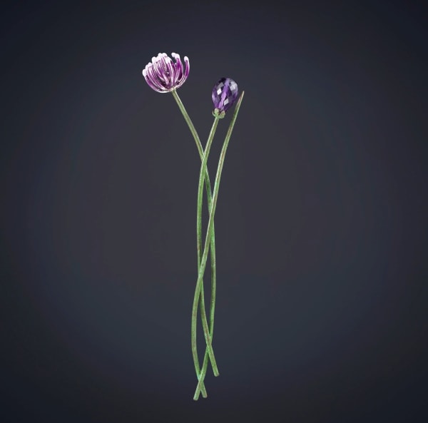 Luz Camino, Chive Brooch