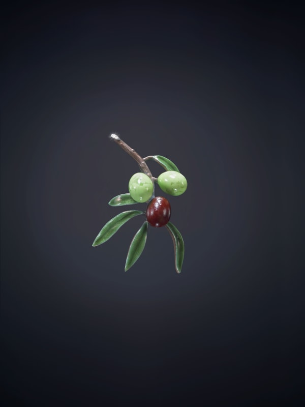 Luz Camino, Small Olive tree branch brooch