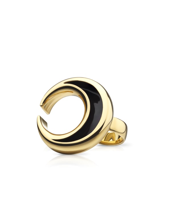 Anish Kapoor, Crescent Ring, Form V, 2004