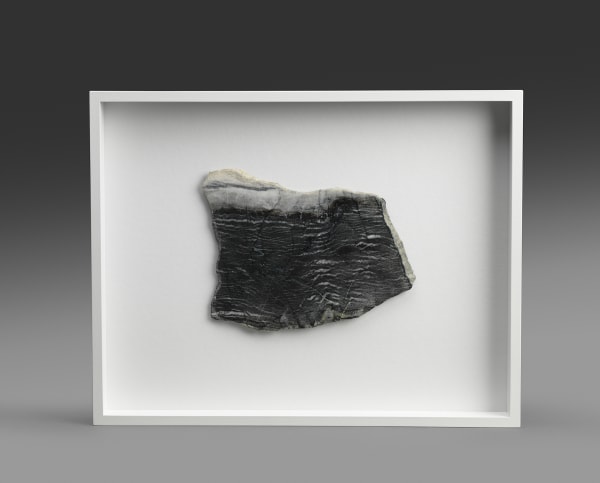 Stephen Cox, Jutland Breastplate, 2016