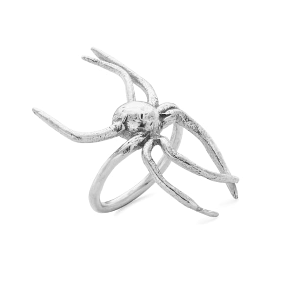 Sue Webster, Spider Ring, 2021