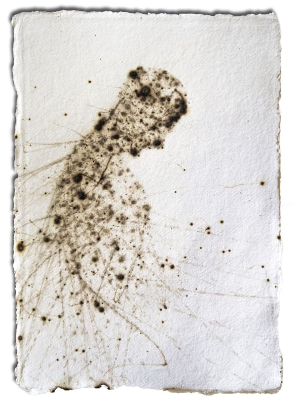 Pedro Pires, Isolated 1 , 2021