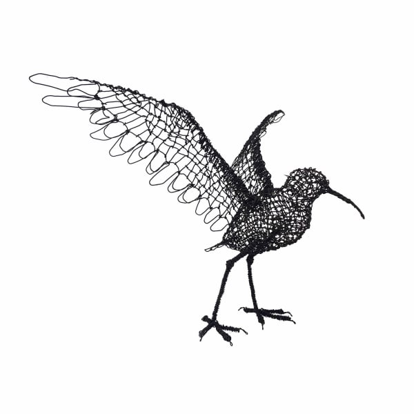 Oumar Ball, Ibis #1, 2024