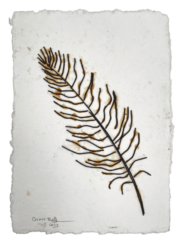 Oumar Ball, Plume #1, 2024