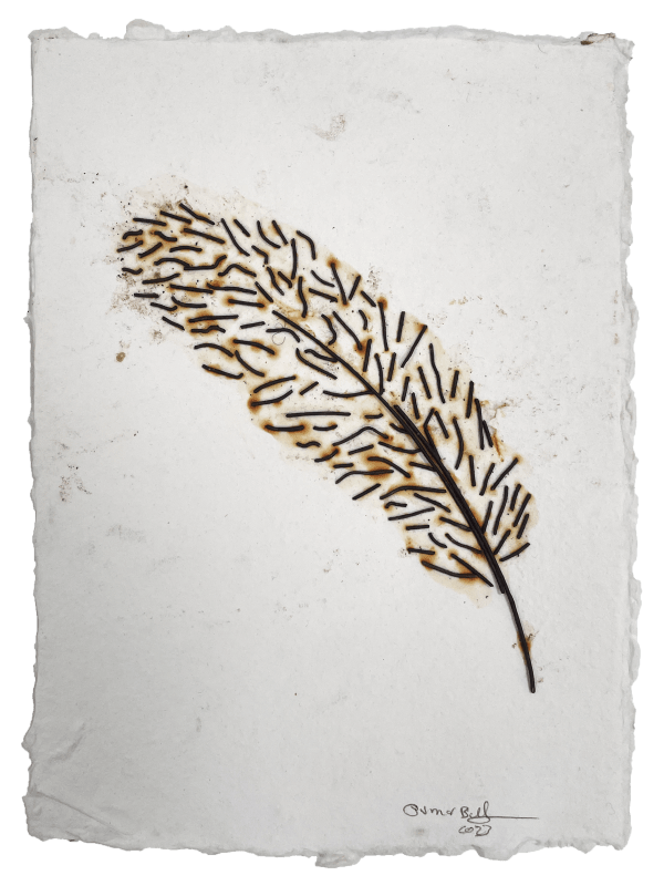 Oumar Ball, Plume #6, 2024