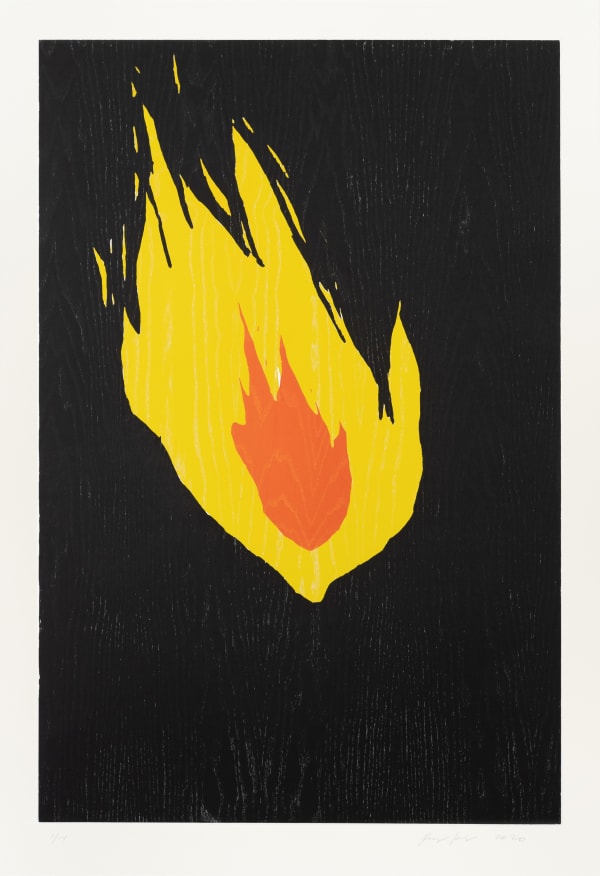 Ragnar Kjartansson, Fire 3, 2020