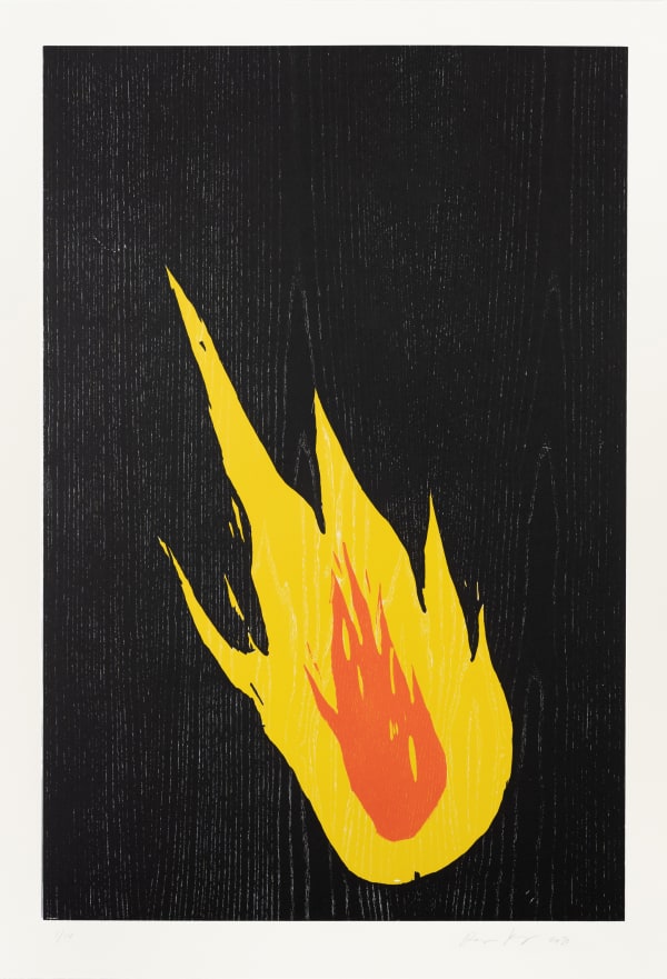 Ragnar Kjartansson, Fire 1, 2020