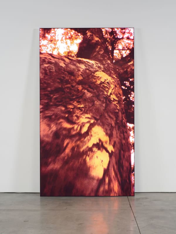 Pipilotti Rist, Untitled 2, 2009