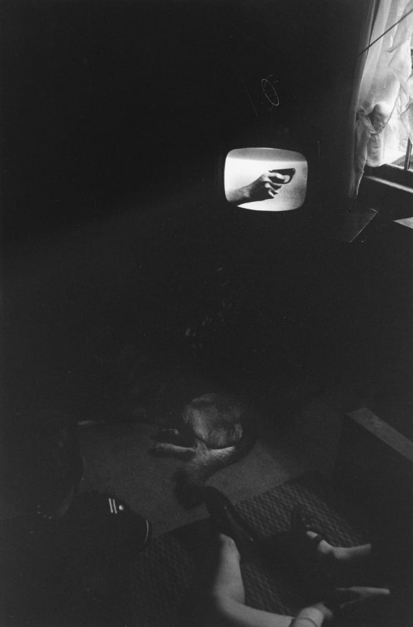 Lee Friedlander, New York State, 1965 / printed 1960s