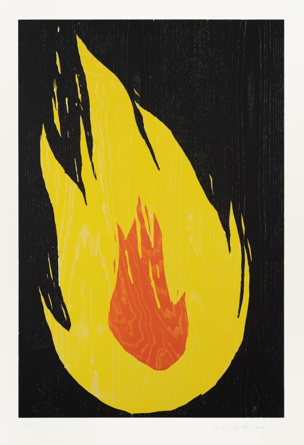 Ragnar Kjartansson, Fire 2, 2020