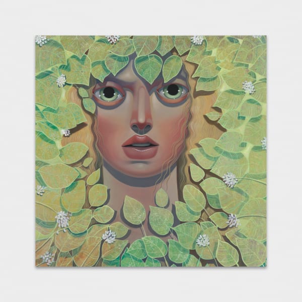 The Light Understanding