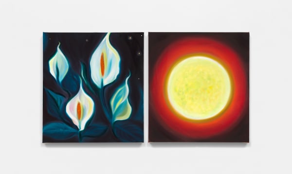 Zoe McGuire, Peace Lily / Solar Color, 2025