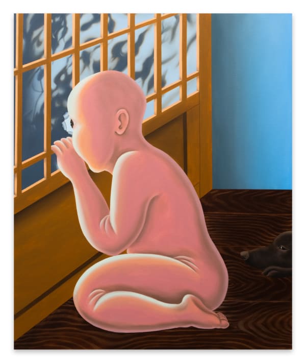 Looking out the Window