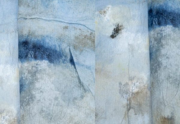 Detritivore (Bethany Rowland's studio 1)
