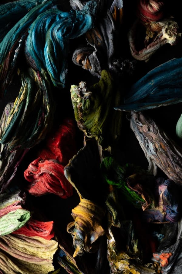 Detritivore (Jen Crowe's studio 4)