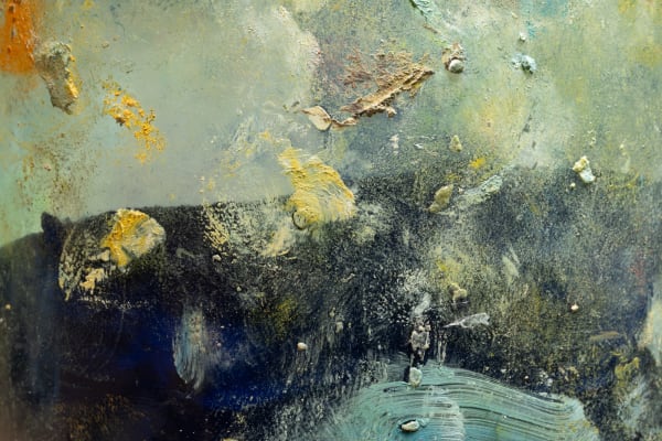 Detritivore (Kirk Weller's studio 1)