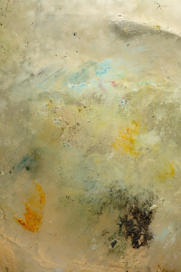 Detritivore (Kirk Weller's studio 6)