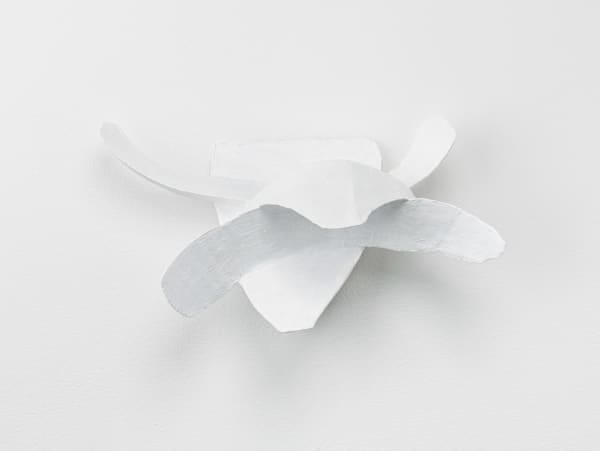 Fragment 2