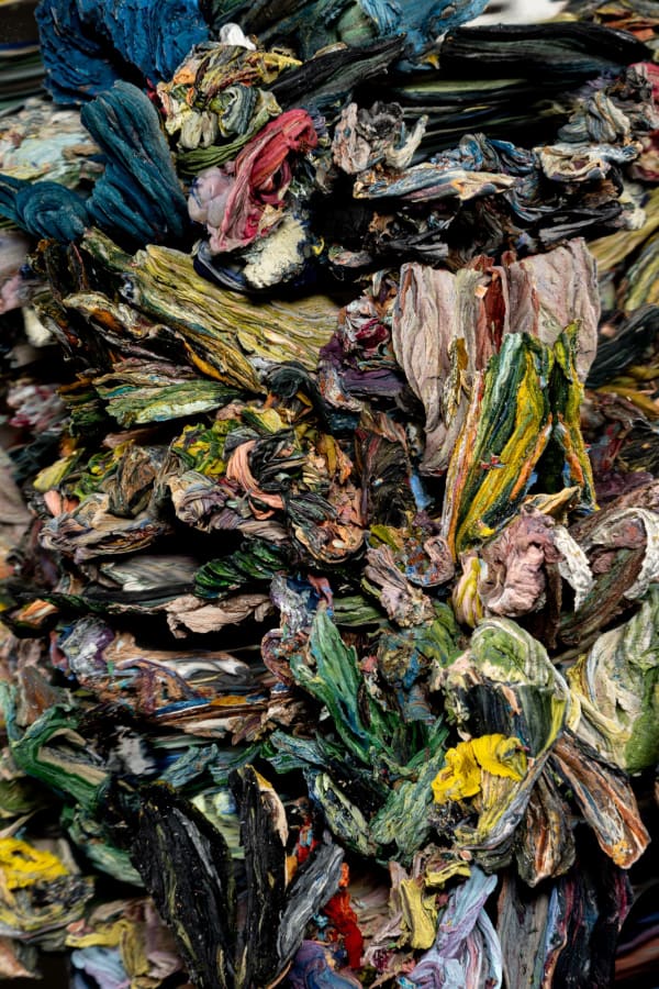 Detritivore (Jen Crowe's studio 2)