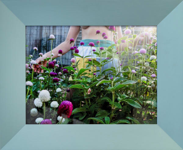 Georgie Hopton Gathering Globe Amaranth, 2007 Archival inkjet print on fibre paper. Signed verso and numbered from the edition of 4, with 2 artists proofs 30.2 x 40.2 cm (11 7/8 x 15 7/8 in)