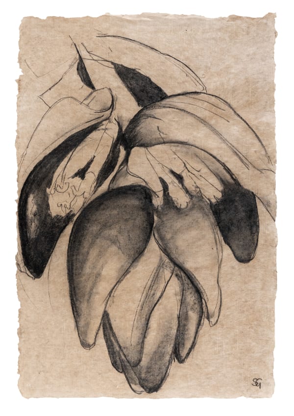 Sarah Graham Musa acuminata (paper) XXII, 2025 Mixed media on paper. Signed. 79.5 x 52 cm (31 1/4 x 20 1/2 in)