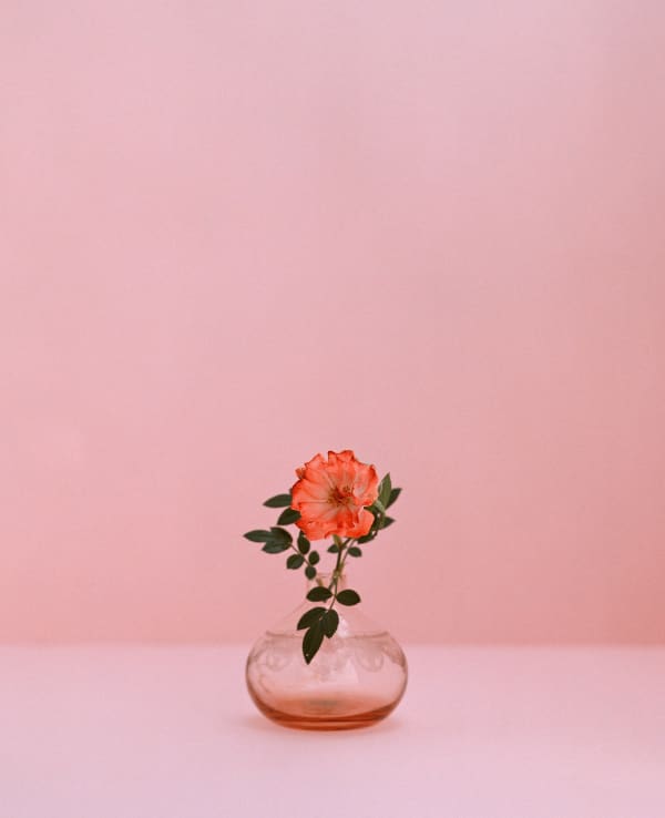 Kate Friend Rose, Fátima, Portugal, May, 2024 C-type colour print. Signed and numbered verso. Edition of 5 with 2 APs: 80 x 65 cm (31 1/2 x 25 1/2 in) Edition of 3 with 1 AP: 153 x 122 cm (60 1/4 x 48 in)