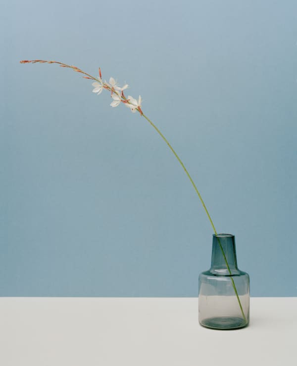 Kate Friend Kulapat Yantrasast, Beeblossom, Los Angeles, 2022 C-type colour print. Signed and numbered verso. Edition of 5 with 2 APs: 80 x 65 cm (31 1/2 x 25 1/2 in) Edition of 3 with 1 AP: 153 x 122 cm (60 1/4 x 48 in)