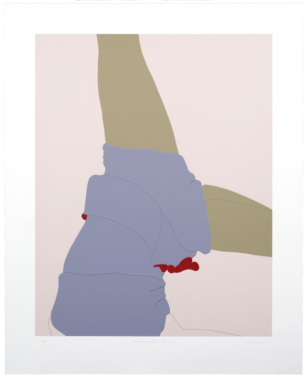 Gary Hume American Tan XXIV, 2007 Screenprint printed in colours on Somerset paper. Signed and numbered from an edition of 150. Image size: 99 x 78 cm (39 x 30 11/16 in) Sheet size: 122 x 100 cm (48 1/16 x 39 3/8 in)