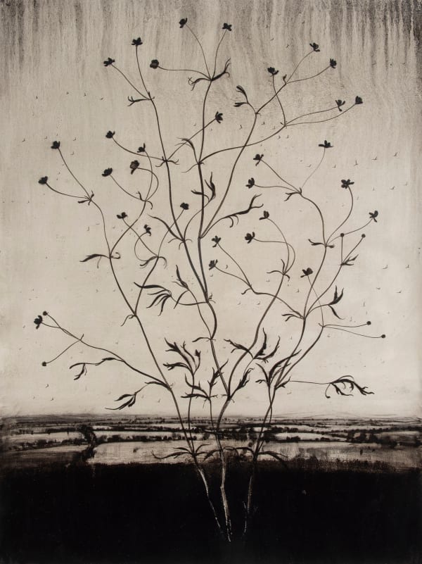 MICHAEL CANNING Difficult Loves (for I.C.) IV, 2015-18 Acrylic, charcoal, ash, chalk and pencil on gessoed paper. Signed and dated verso. 95.5 x 75 cm (37 5/8 x 29 1/2 in)