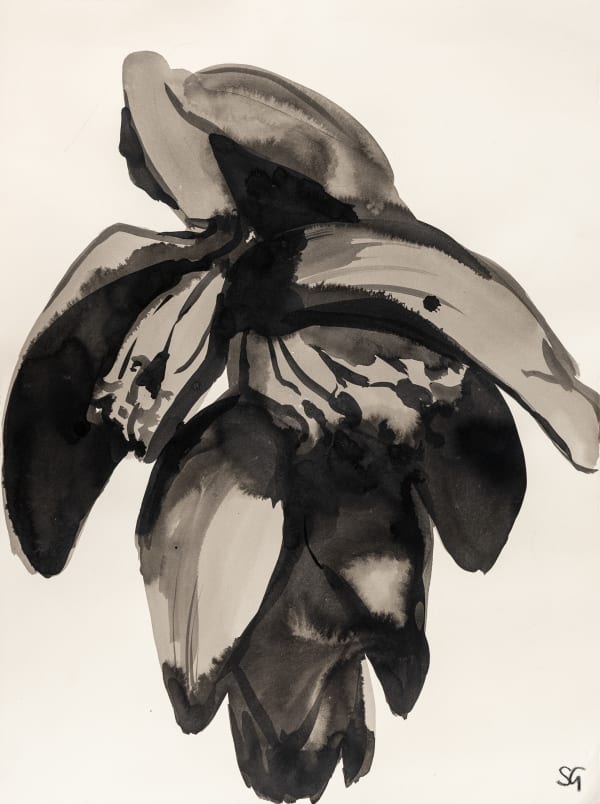 Sarah Graham Musa acuminata (paper) XVII, 2025 Mixed media on paper. Signed. 75.5 x 56.5 cm (29 3/4 x 22 1/4 in)