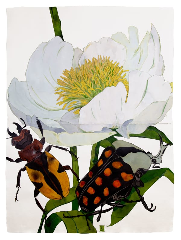 Sarah Graham Paeonia emodi I, 2019 Ink on paper. Signed. 184 x 135 cm (72 1/2 x 53 1/8 in)