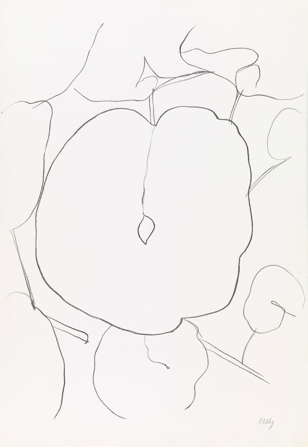Ellsworth Kelly Melon Leaf, 1965-66 Lithograph. Signed in pencil and numbered from the edition of 75, with 10 artist proofs. Printed by Imprimerie Arte, Paris. Published by Maeght Editeur, Paris. (Axsom 44) 89.2 x 61.6 cm (35 1/8 x 24 1/4 in)