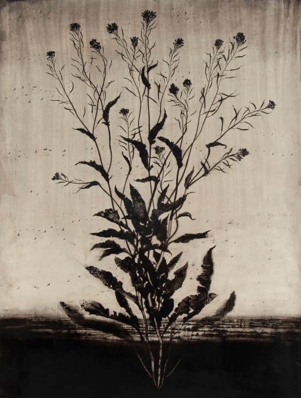 MICHAEL CANNING Difficult Loves (for I.C.) II, 2015-18 Acrylic, charcoal, ash, chalk and pencil on gessoed paper. Signed and dated verso. 95.5 x 75 cm (37 5/8 x 29 1/2 in)