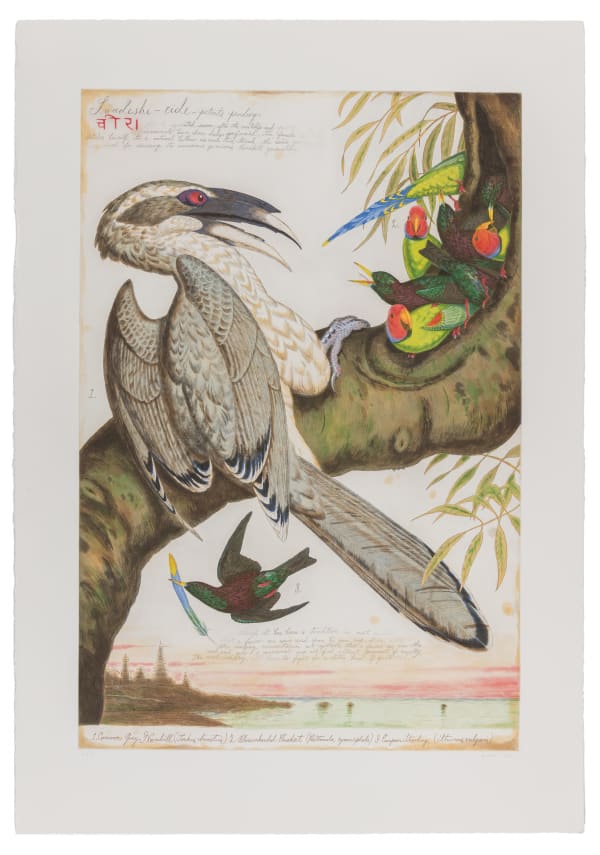 Walton Ford Swadeshi-cide, 1998 Etching and aquatint with drypoint and hand-colouring. Signed, dated and numbered in an edition of 50. Printed on white Somerset Satin paper by Peter Pettengill at Wingate Studio, Hinsdale, New Hampshire. Published by Blue Heron Press Inc., New York. Plate: 91.4 x 61 cm (36 x 24 in) Sheet: 111.8 x 78.7 cm (44 x 31 in)