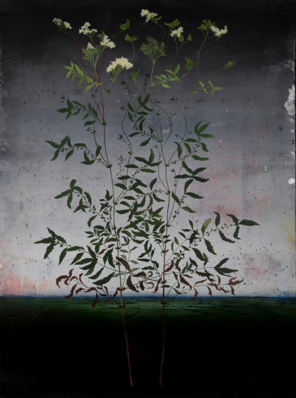 Michael Canning Espionage, 2017-2022 Acrylic, gouache, pencil and charcoal on paper. Signed verso. 122 x 91 cm (48 x 35 7/8 in)