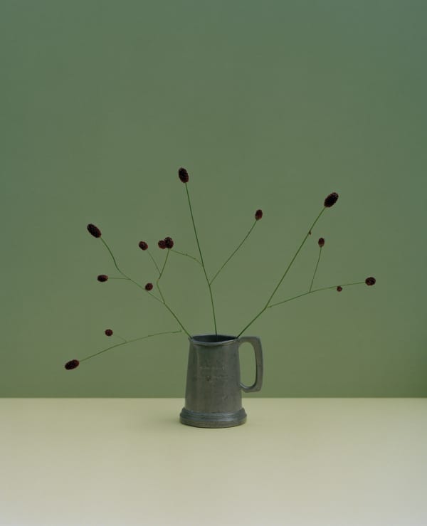 KATE FRIEND Margot Henderson, Sanguisorba, Rochelle Canteen, East London, 2021 C-type colour print. Signed verso. Edition of 5 with 2 APs - 80 x 65 cm (31 1/2 x 25 1/2 in)