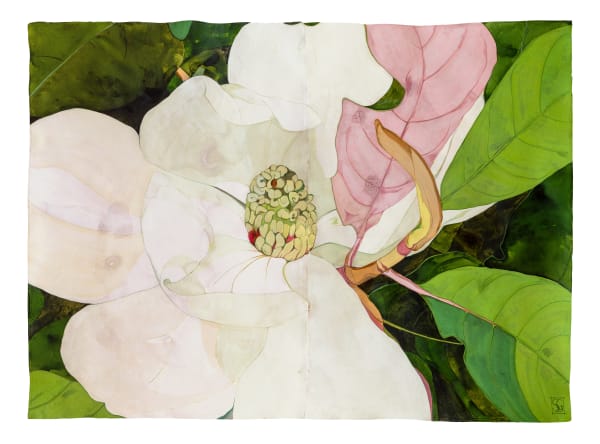 Sarah Graham, Magnolia grandiflora II, 2021