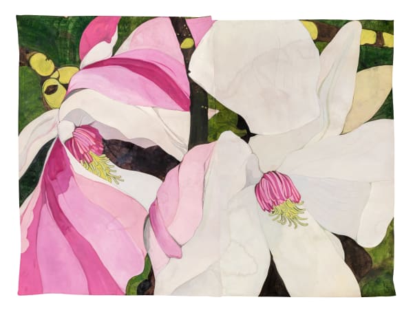 Sarah Graham, Magnolia soulangeana I, 2022