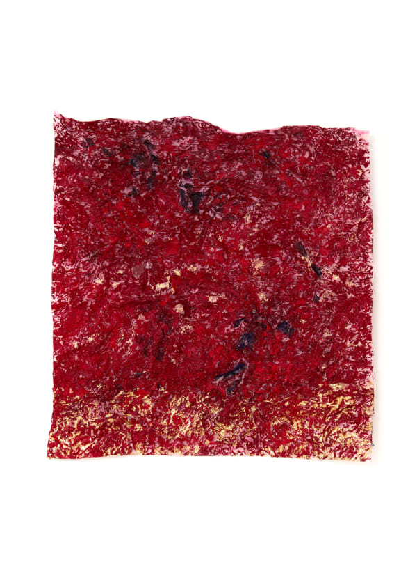 Igi Lola Ayedun, I request another dream I need a forest fire, 2025