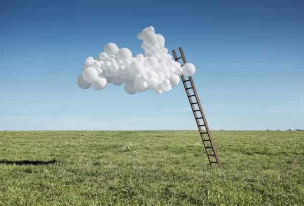 Charles Pétillon, POINT DE VUE, 2018