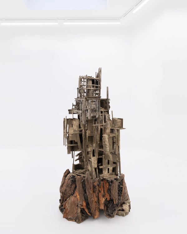 Pim Palsgraaf, MYCELIUM 01, 2021